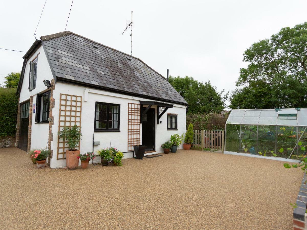 Milborne Saint Andrew Little England Cottage מראה חיצוני תמונה