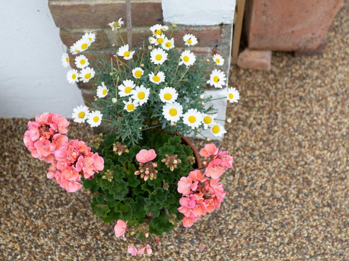 Milborne Saint Andrew Little England Cottage מראה חיצוני תמונה